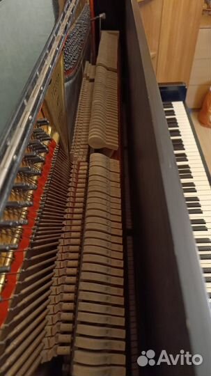 Фортепиано 