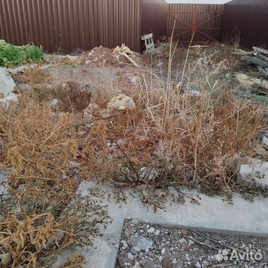 Гербицид торнадо 540