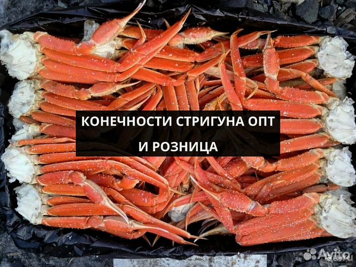 Конечности краба стригуна