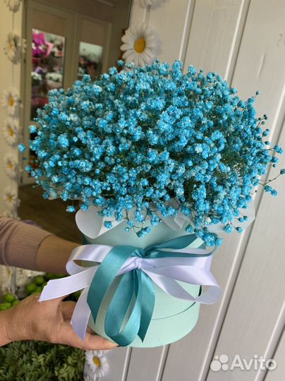 Букеты из гипсофилы