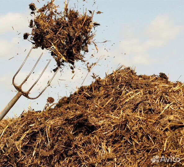 Навоз перегной