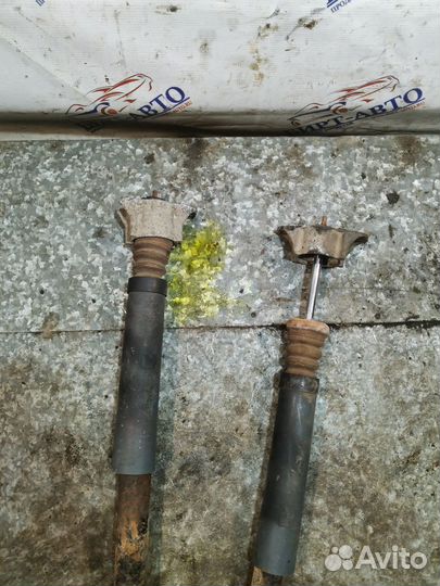 Задние стойки Ford Focus 2