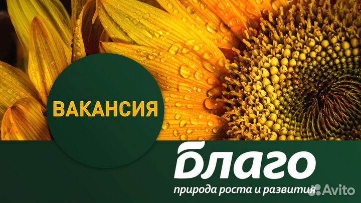 Электромонтер