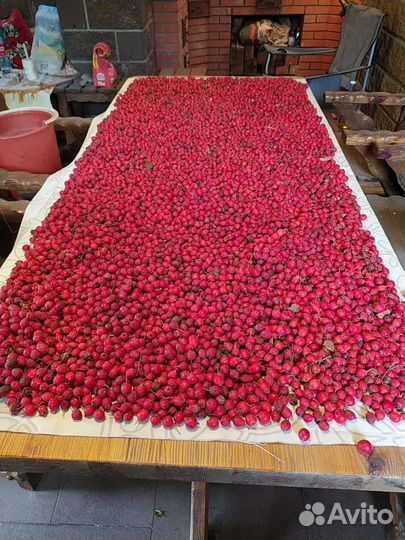 Боярышник ягода свежая