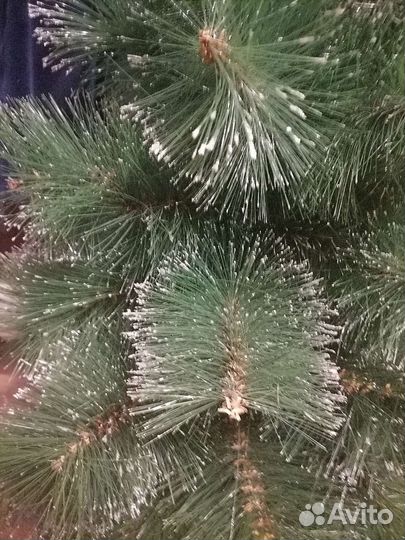 Сосна искусственная