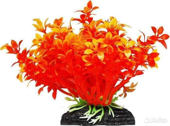 289.0119 уют Растение аквариумное 11см Гемиантус о