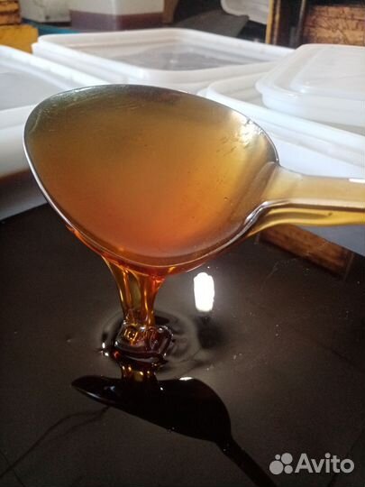 Мёд гречиха-лесное разнотравье опт