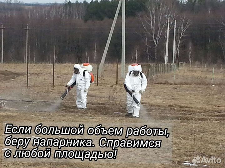 Обработка участков от вредителей
