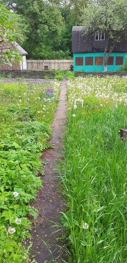 Дача 59 м² на участке 7,3 сот.