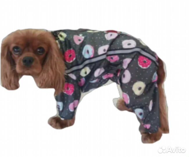 Одежда для собак
