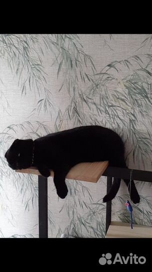 Домик для кошки, кошкин дом