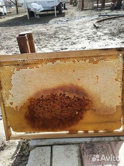 Рамки для пчел