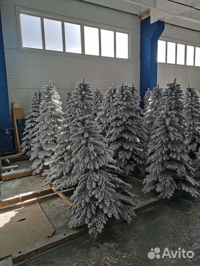 Ёлки оптом