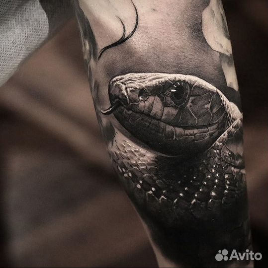 Тату в студии