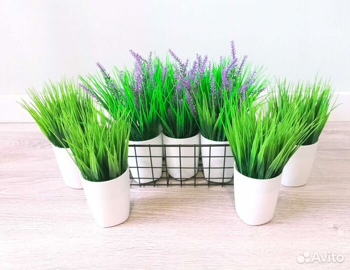 Фейка осока, лаванда, искусственная трава