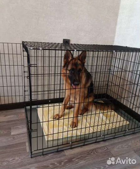 Клетка для собак