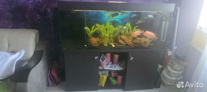 Аквариум с тумбой 400 л с рыбками