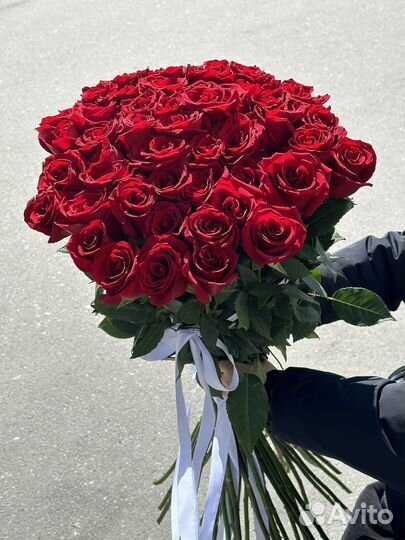 Элегантная 51 роза красная высотой (100см)