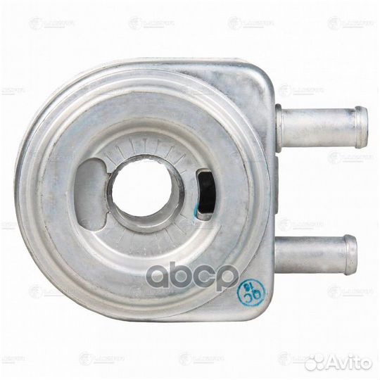 Радиатор масляный Peugeot Boxer (02) /Expert