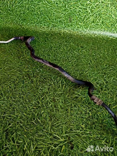 Трубка гидроусилителя Митсубиси Диамант 3.0л 1995г