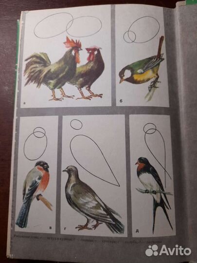 Учебное рисование Н.П. Костерин