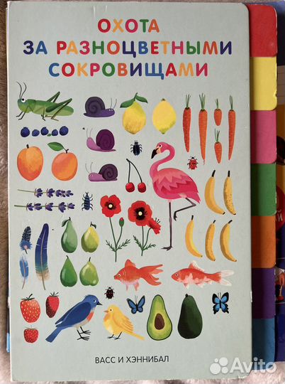 Охота за разноцветными сокровищами Поляндрия