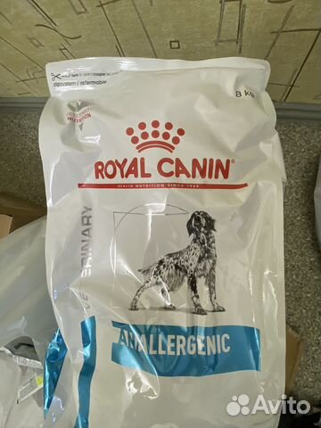 Корм для собак роял канин аналлердженик