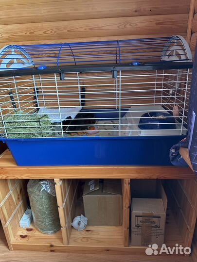 Клетка для грызунов ferplast