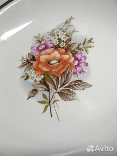 Тарелки Коростень и Бронницы