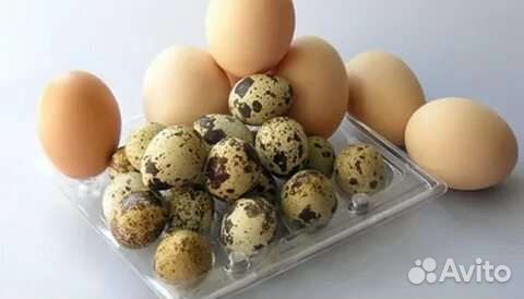 Яйца