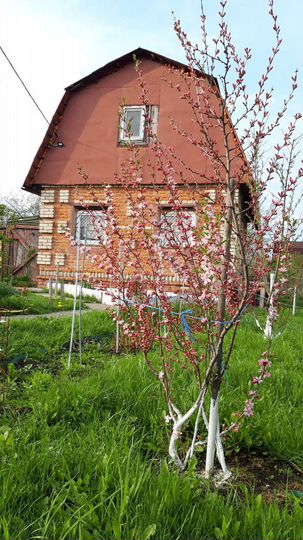 Дача 49 м² на участке 6 сот.