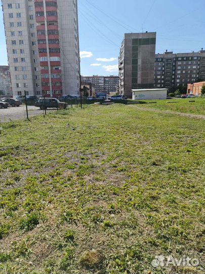 Покос травы