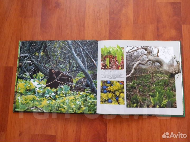 Книга-фотоальбом 