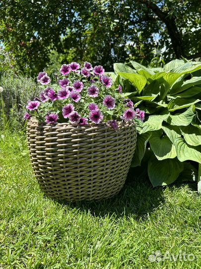 Кашпо для цветов