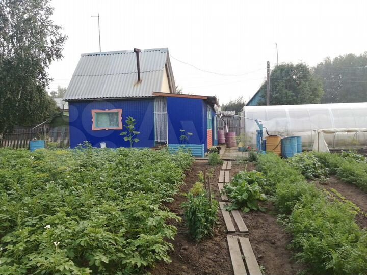 Дачи васильков. Дача Василёк Саянск. Иркутская обл., гор. Саянск, 3 (Лесной мкр.) кв-л. Дача в васильке фото 1400000. Продать дачу Саянск Прогресс.