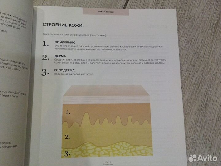 Учебное пособие. Шугаринг. Базовый курс