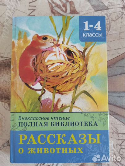 Книга для внеклассного чтения