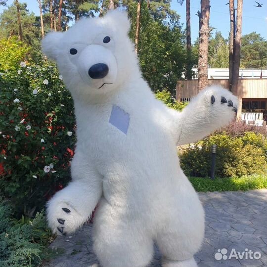 Ростовые куклы, аниматоры на день рождения