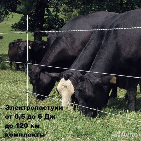 Электропастух генератор импульсов