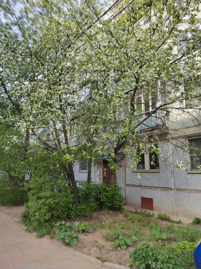 2-к. квартира, 48 м², 5/5 эт.