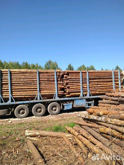 Грузоперевозки. Длинномер, лесовоз