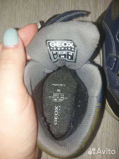 Ботинки для мальчика Geox