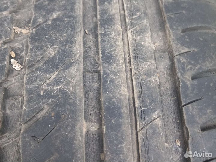 Nordman WR 205/55 R16