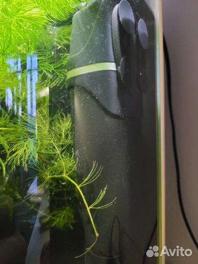 Аквариум с рыбками