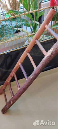 Клетка для попугая бу