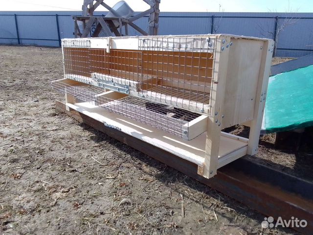 Клетка для перепелок несушек