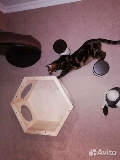 Полка для котов