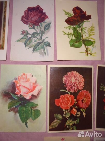 Цветы 1948 - 1960 гг Изогиз Сов худ Изобразит исск