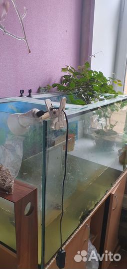 Аквариум c черепахой с тумбой