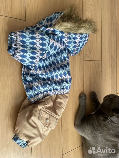 Зимний комбинезон